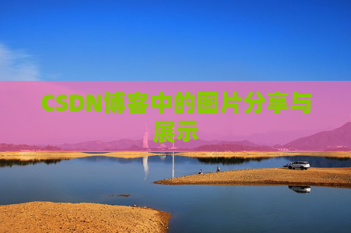CSDN博客中的图片分享与展示